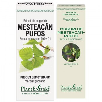 Extract din muguri de mesteacan pufos PlantExtrakt - 50 ml